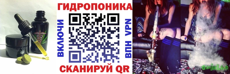 Cannafood конопля  блэк спрут маркетплейс  Мурманск 