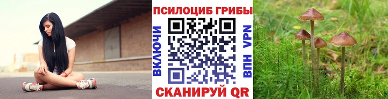 Галлюциногенные грибы прущие грибы  где купить наркоту  Мурманск 